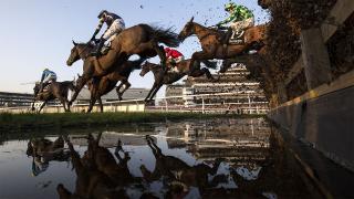 Newbury racecourse